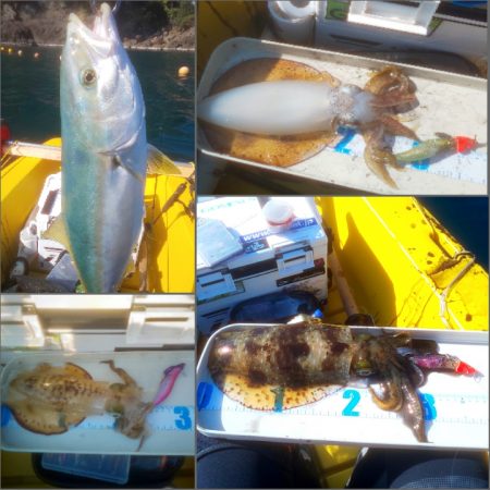 まさかのヒラマサ