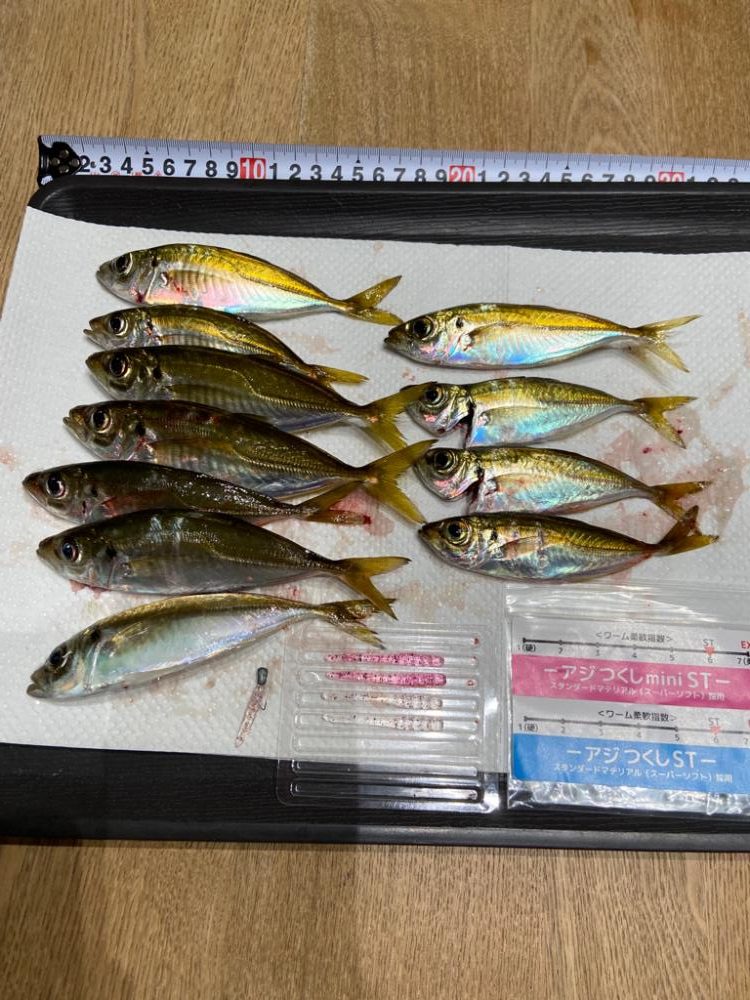 小島養魚場で悶絶豆アジング♪