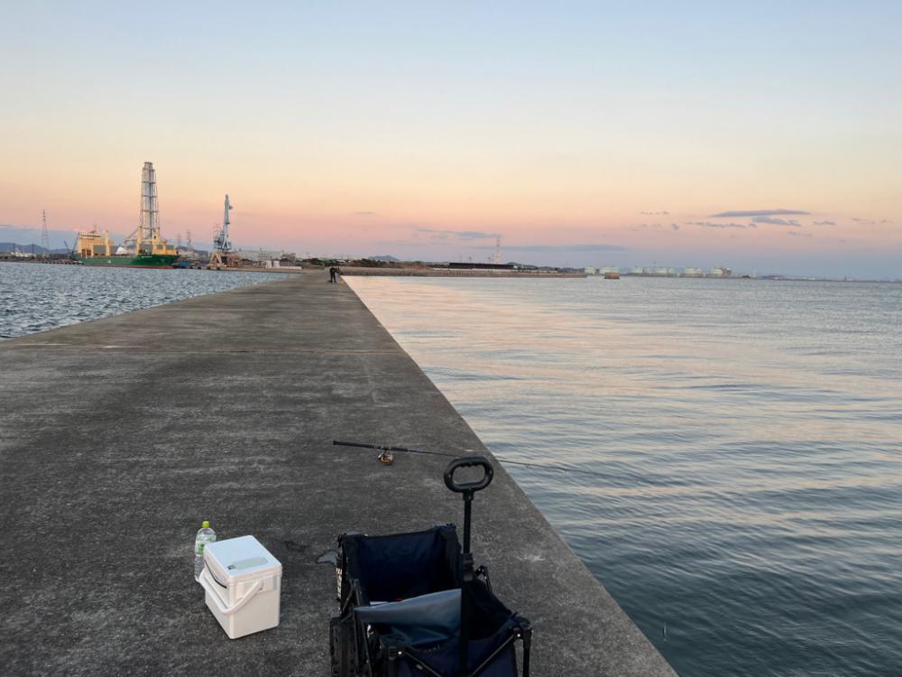 帰ろうとしたその時、ウグイがメジロに変身！！