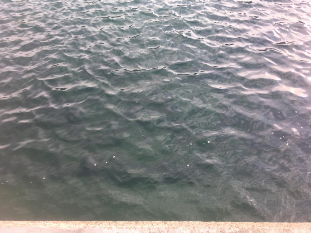 心残りの日本海