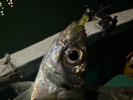 ボートアジング