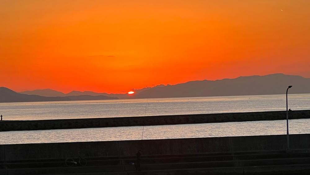 鯵を探して三千里Ver.5