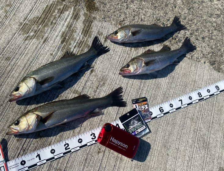 右手からの風が強く吹き