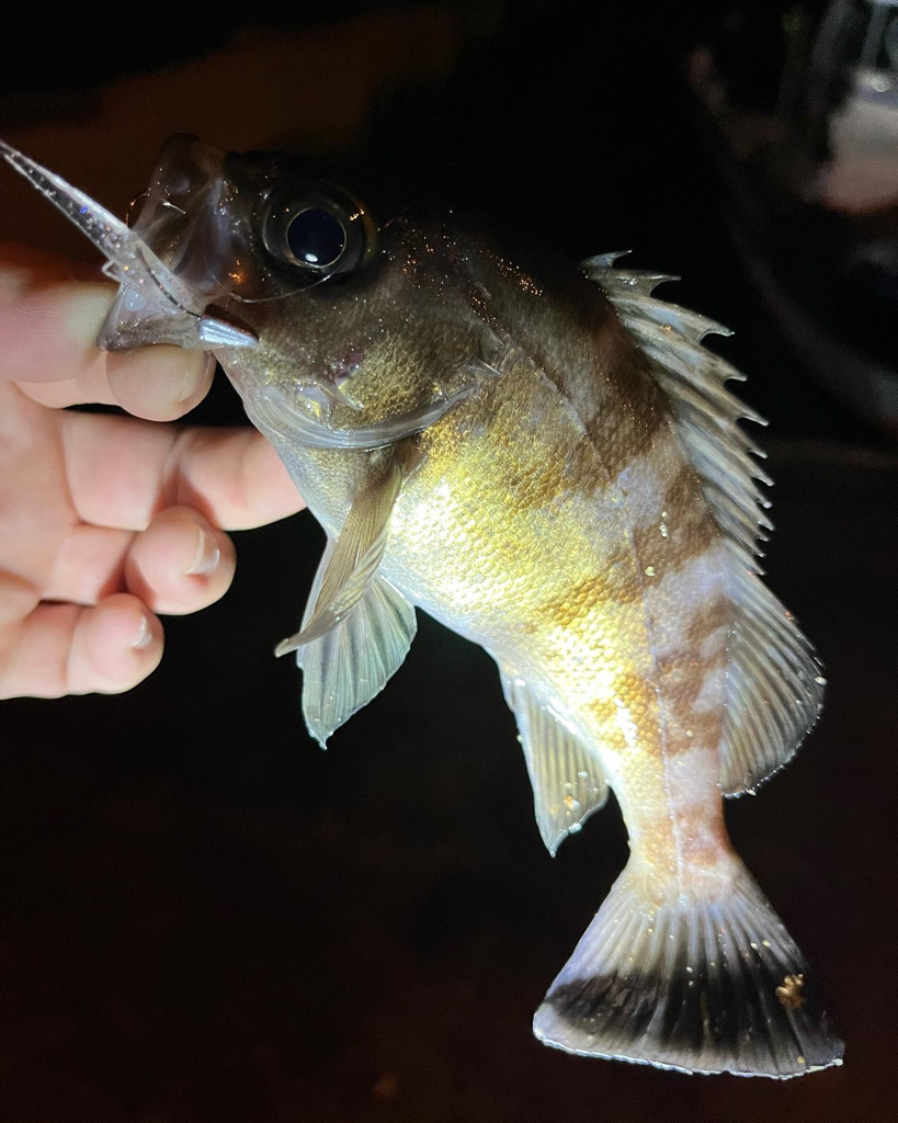 いつもの場所で♪