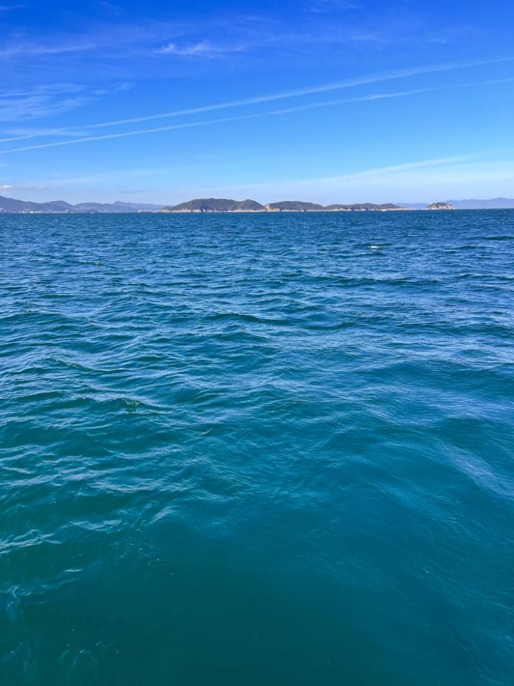 カワハギと真鯛釣り