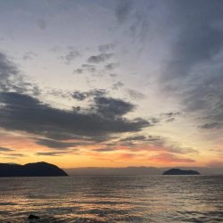 北湖のプリプリバス