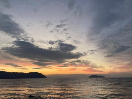 北湖のプリプリバス