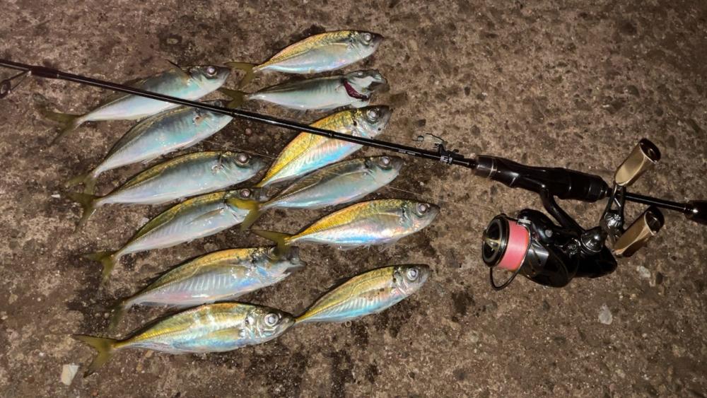 少し遠征アジング