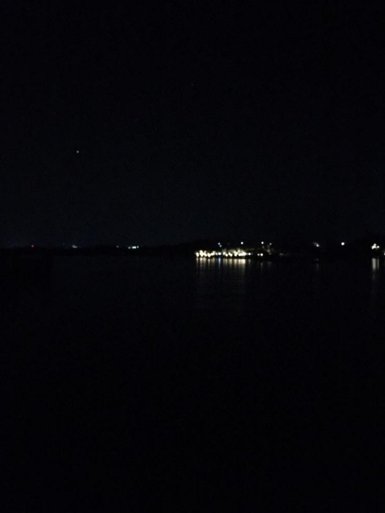 イカ釣りのはずが太刀魚!