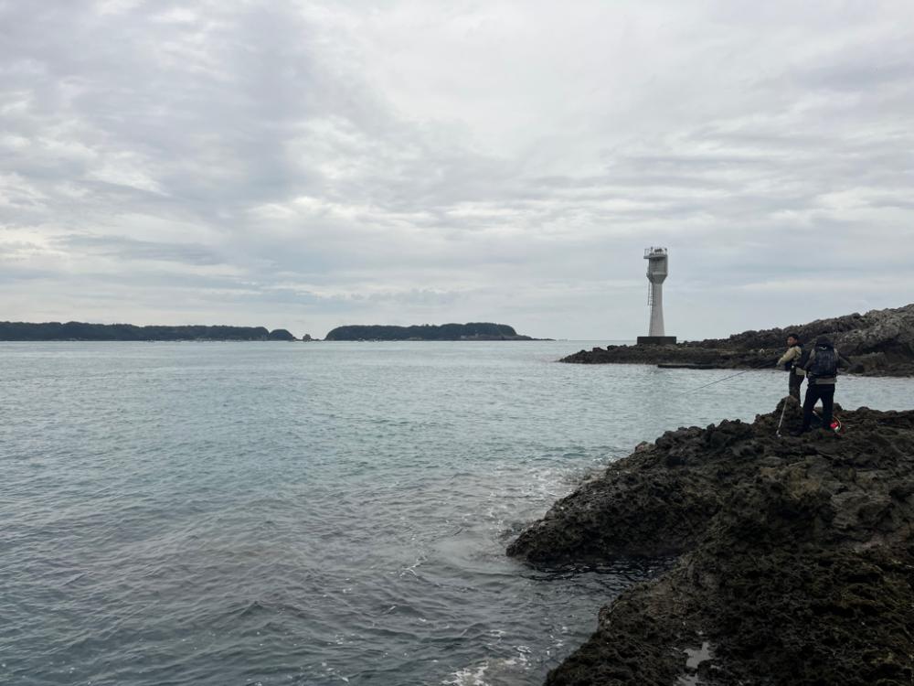 メジメジメジロ