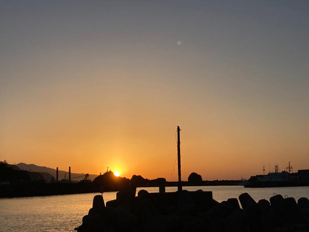 大鯵リベンジならず