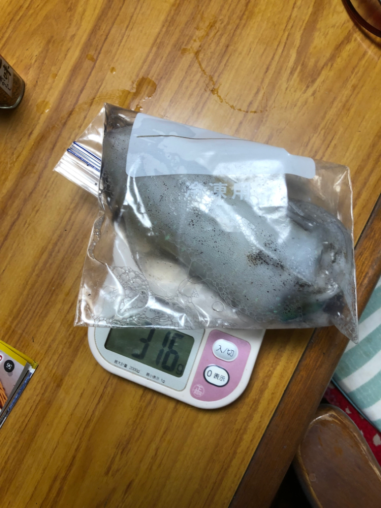 シャローに幸あり