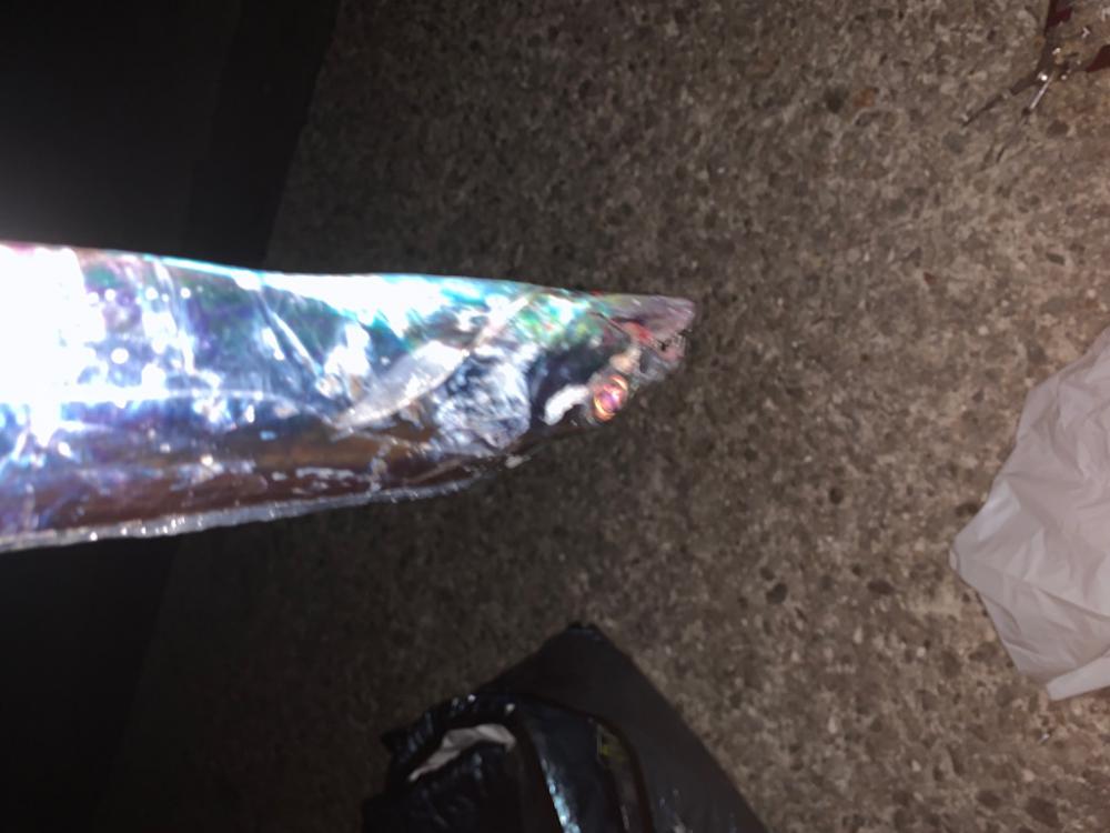 太刀魚！！！