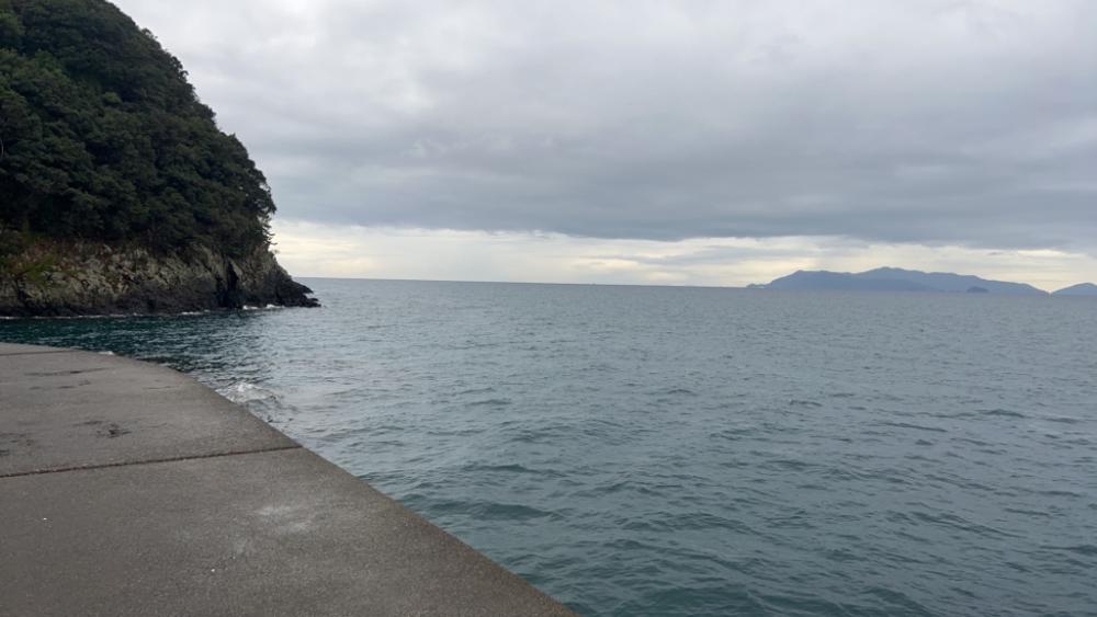 爆釣！入れ食い状態