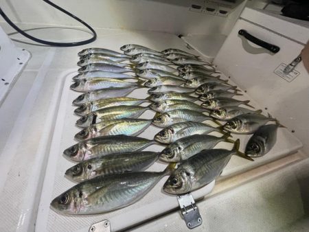 和歌山ボートアジング