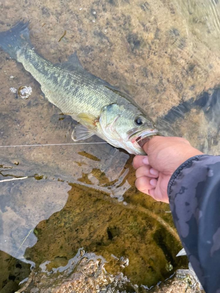 ダウスイで寄せてからの