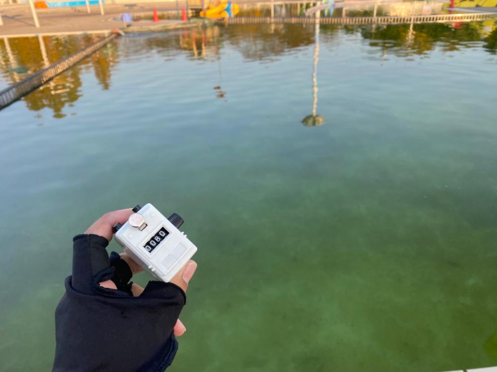 エリアトラウト　亀岡市