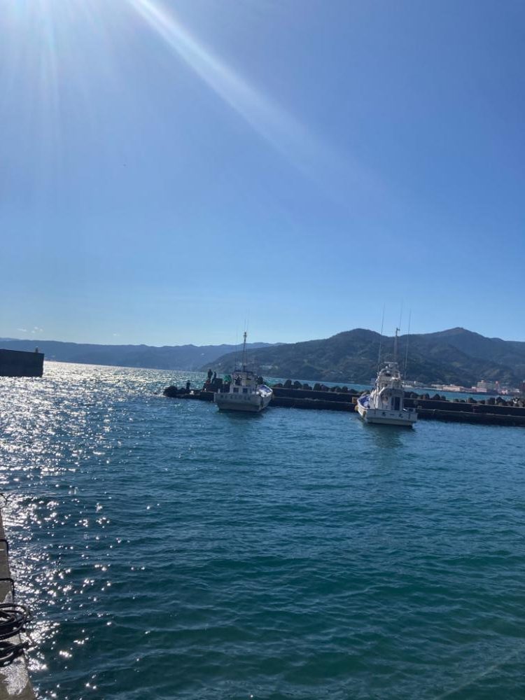 昼からのんびり