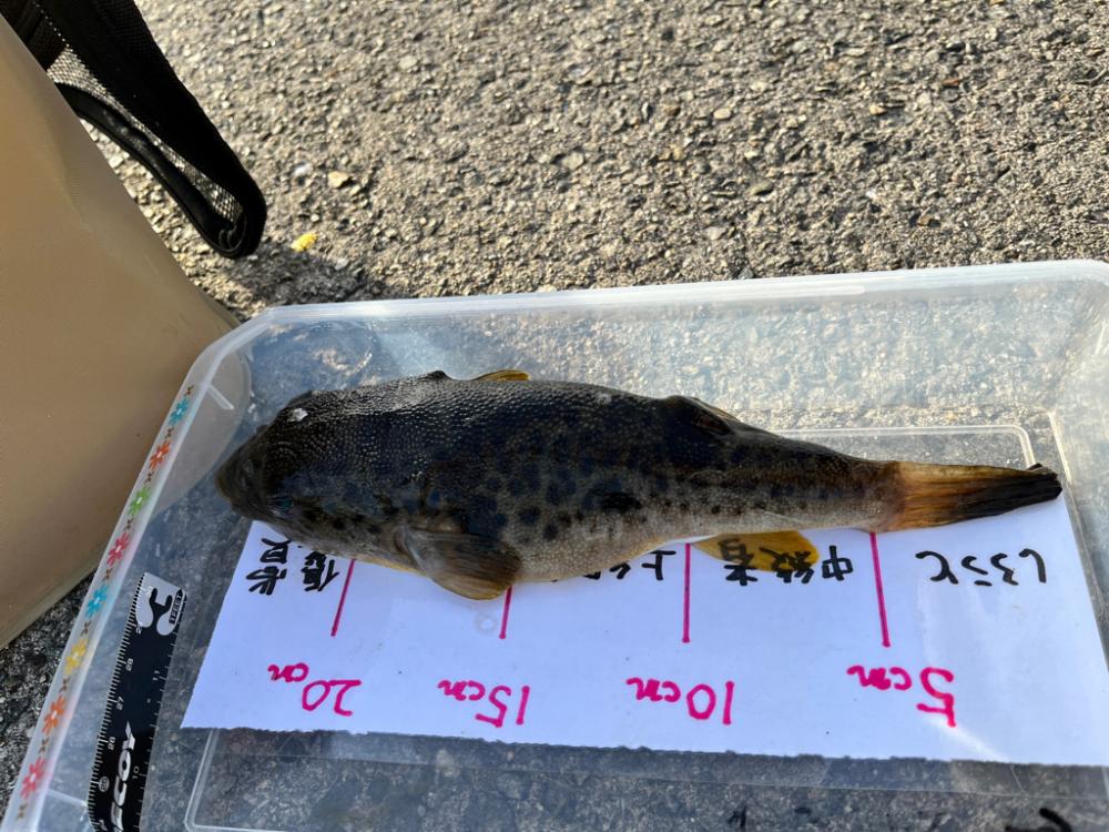 彼女が初めてのルアーフィッシング