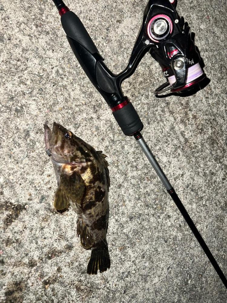 今期初物！！！