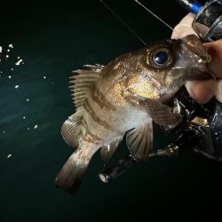 ボートアジング