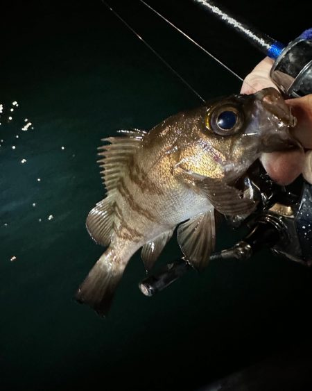 ボートアジング