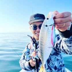 近海ゴムボートでのSLJ