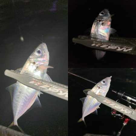 シャローフリークをぶん投げに