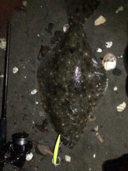 ナイトサーフ　ヒラメ