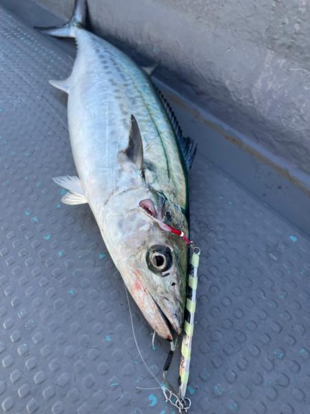 サゴシキャスティングゲーム