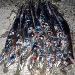 海でも祭りが・・・