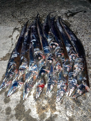 海でも祭りが・・・