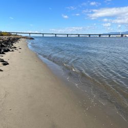 トップウォーターのはずが…