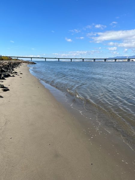 トップウォーターのはずが…