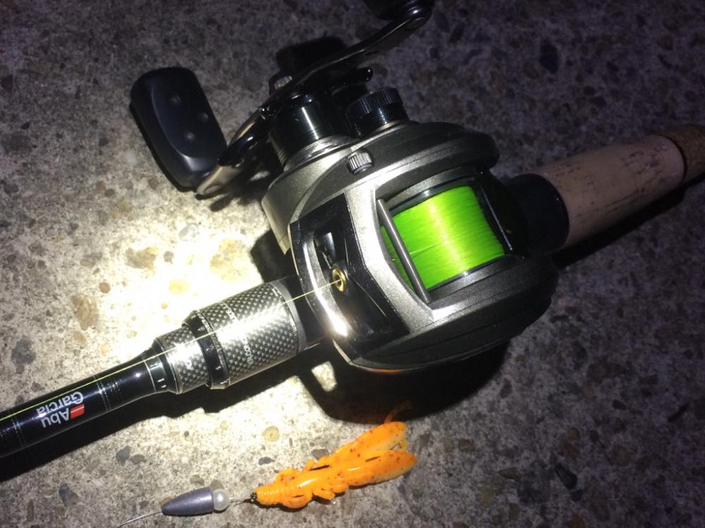 ベイトタックルでガシラ