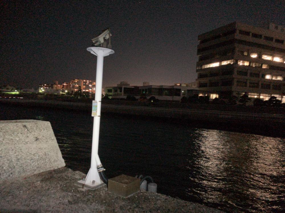 今期はラストエギング