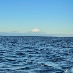 今季４杯目キロアップ