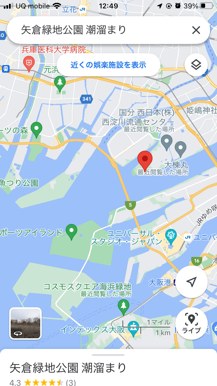 初のルアー釣り イナッコとコノシロ