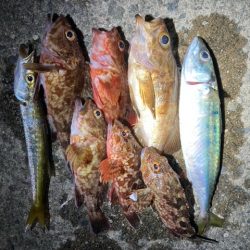 メバリング、アジング