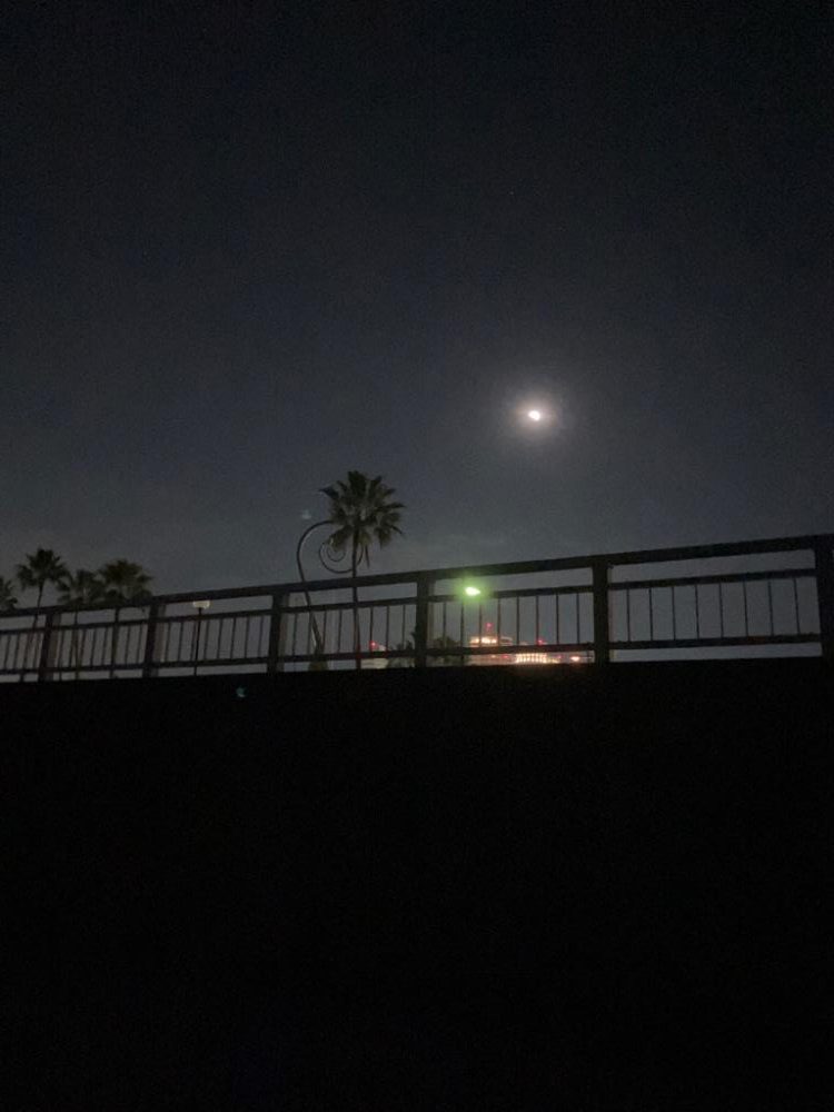 カワハギ好調太刀魚壊滅？