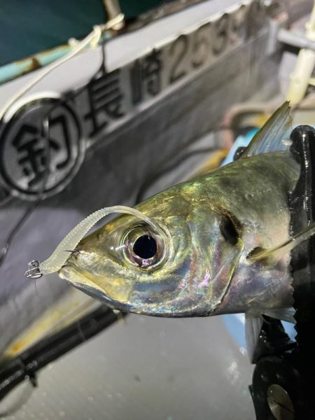 11月のボートアジング