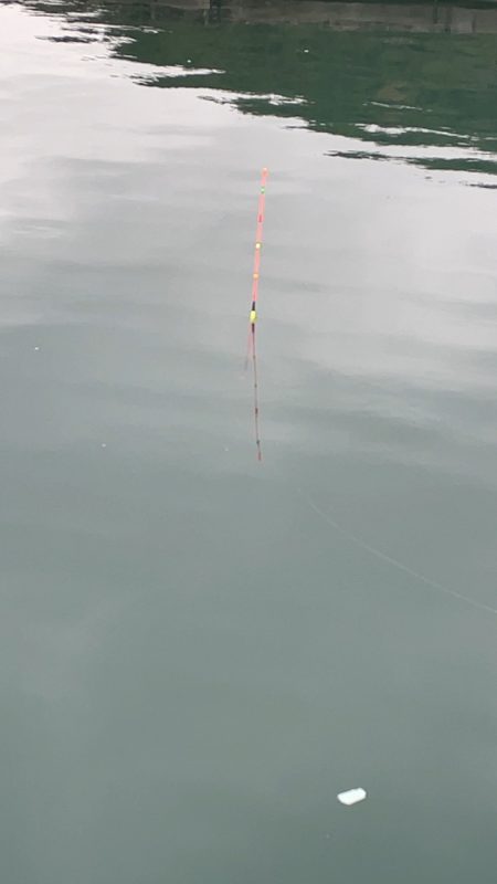 雨の中の釣り堀海恵