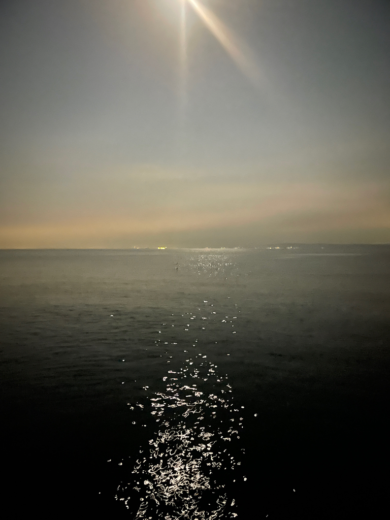 淡路島も秋イカ終盤⁈