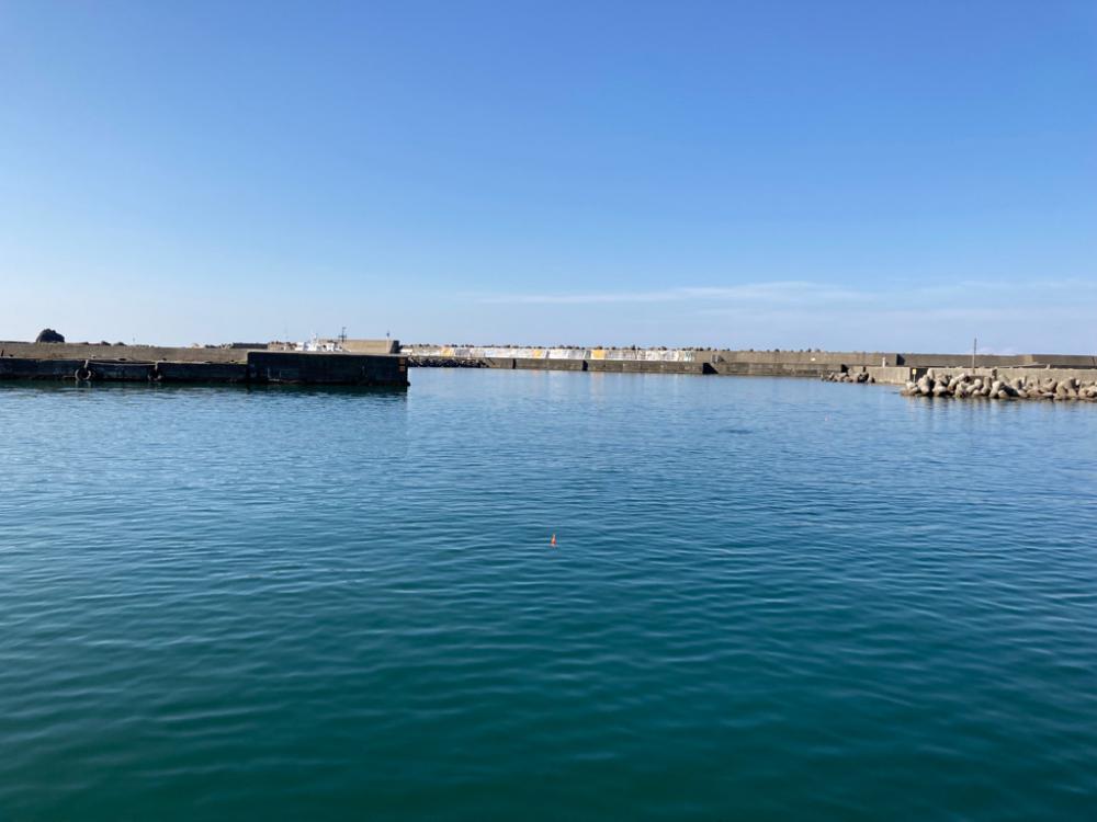 新ポイントで投げサビキに挑戦するも、、