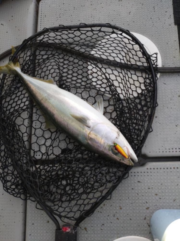 最後の最後に本命