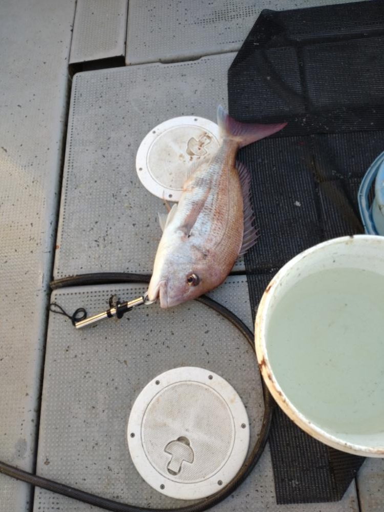 11月のライトジギング(2/2)