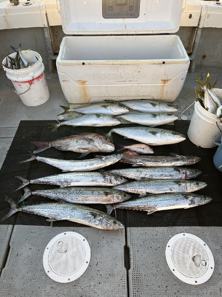 11月のライトジギング(1/2)