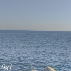 灘浜で良型カワハギを8枚ゲット！