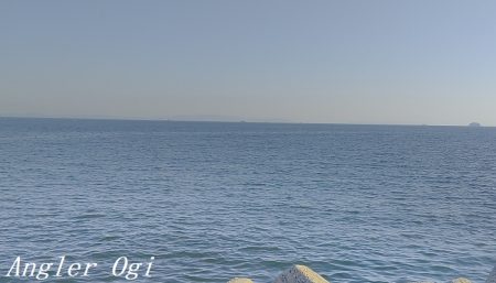 灘浜で良型カワハギを8枚ゲット！