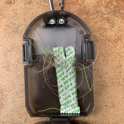 清掃活動：ナイトエギング